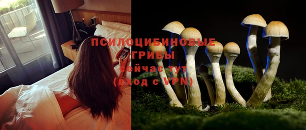 MESCALINE Зерноград