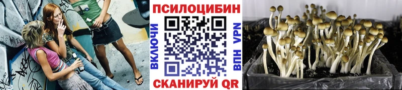 Псилоцибиновые грибы MAGIC MUSHROOMS  Купить  Жердевка 