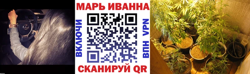 Канабис гибрид  Купить закладки  Жердевка 